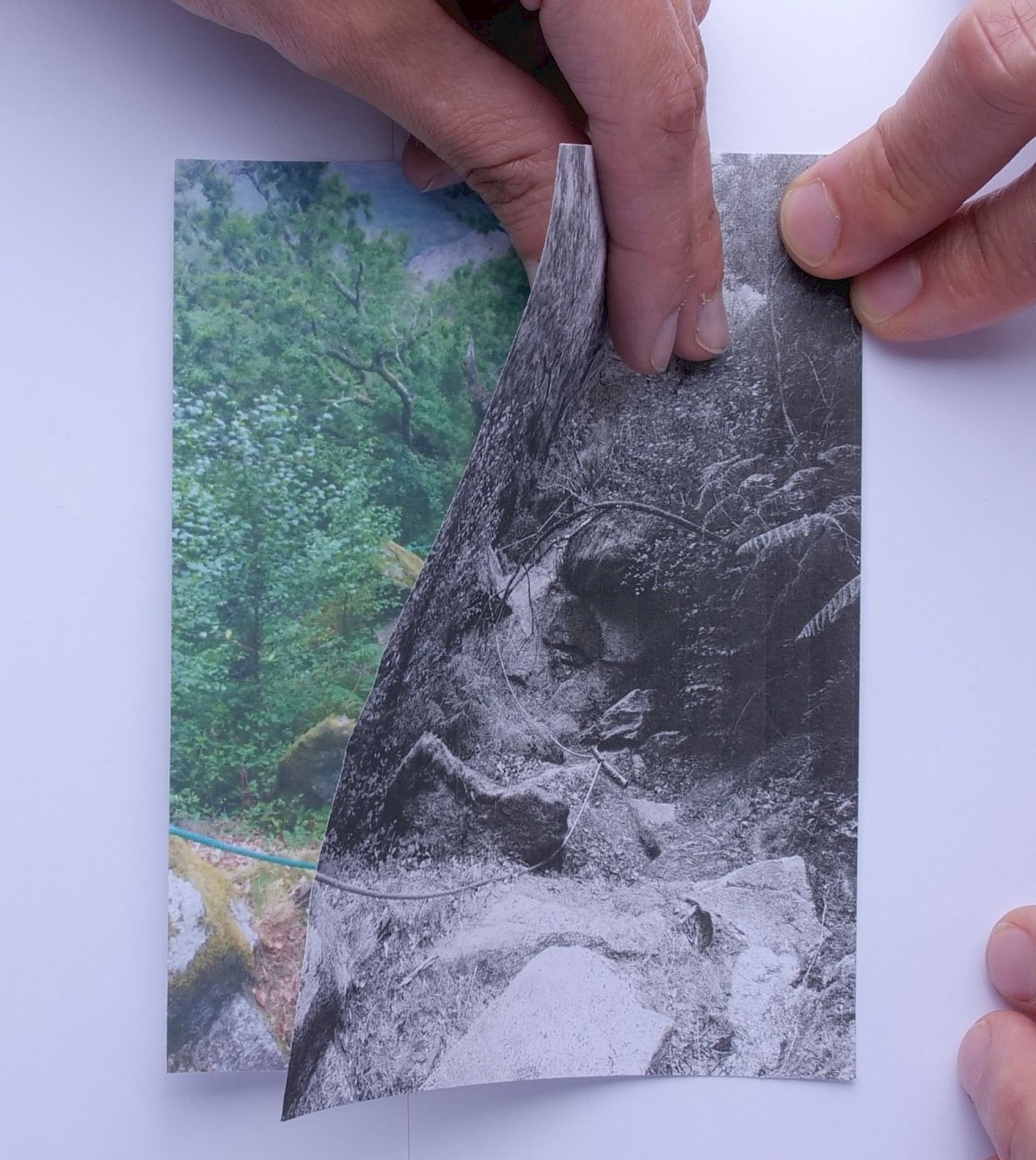 ALKANARA - A hand peels back a black-and-white photo of a rocky trail, revealing a color version of the same scene with green foliage underneath. - ©Sofia Dias & Vítor Roriz
