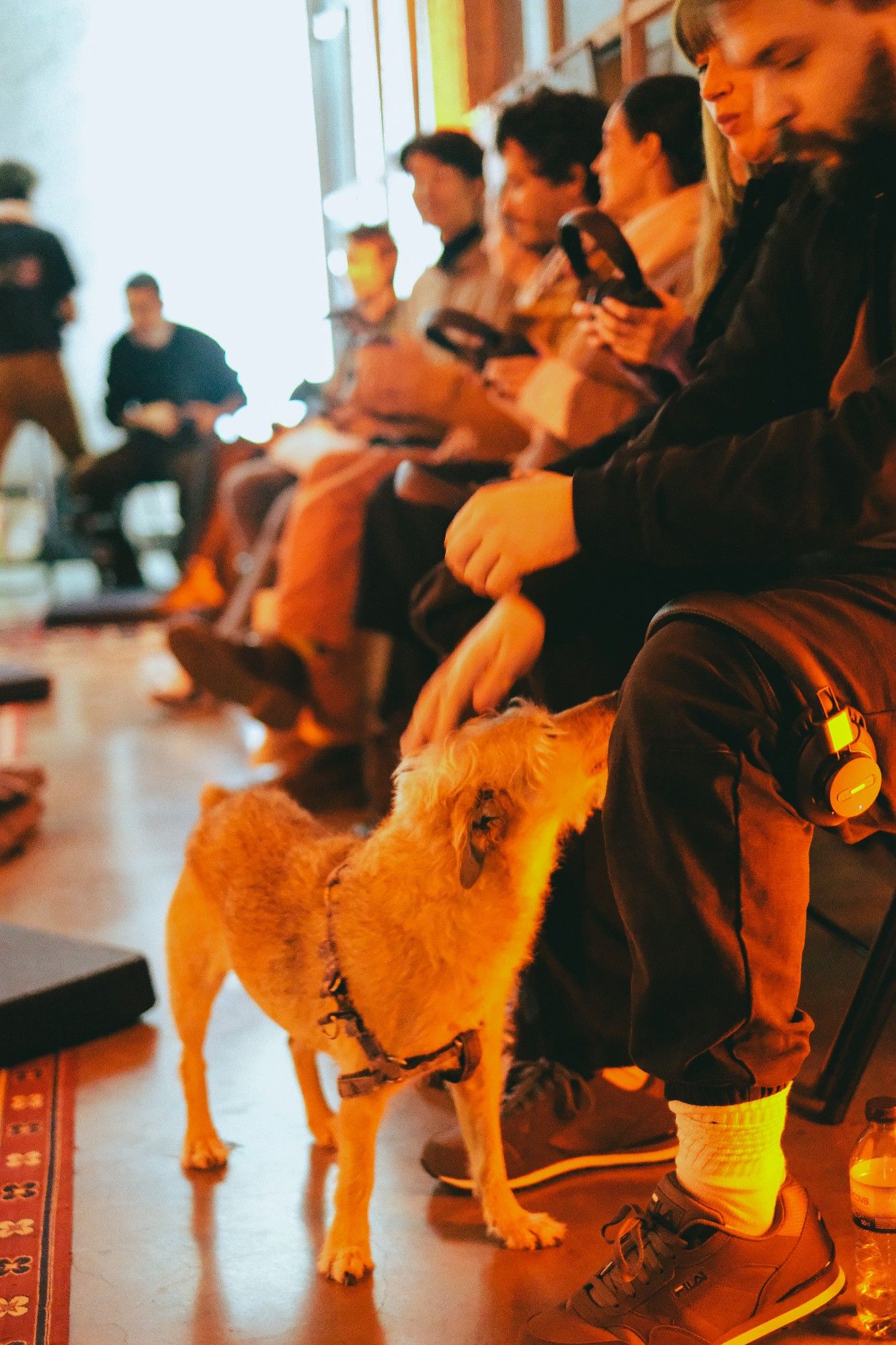 ALKANARA - Alkantara Festival 2025: the photo album - ©Beatriz Pequeno