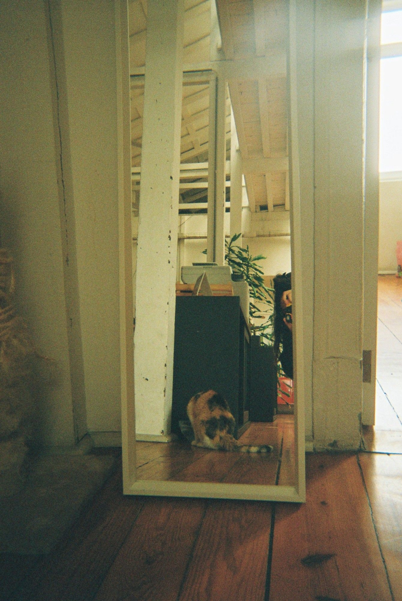 ALKANTARA - Alkantara Festival 2025: memórias em analógico - ©