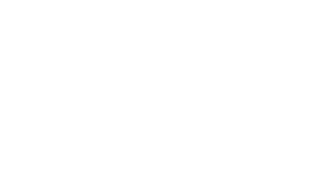 Team & Partners - 1