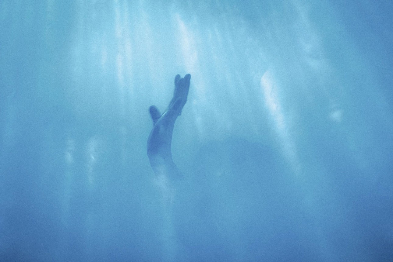 ALKANTARA - Underwater photograph in shades of blue, showing the silhouette of a human arm and hand reaching upwards through the water. Rays of sunlight filter through the surface and clear water, creating vertical light beams in the background. - ©André Diniz Carrilho