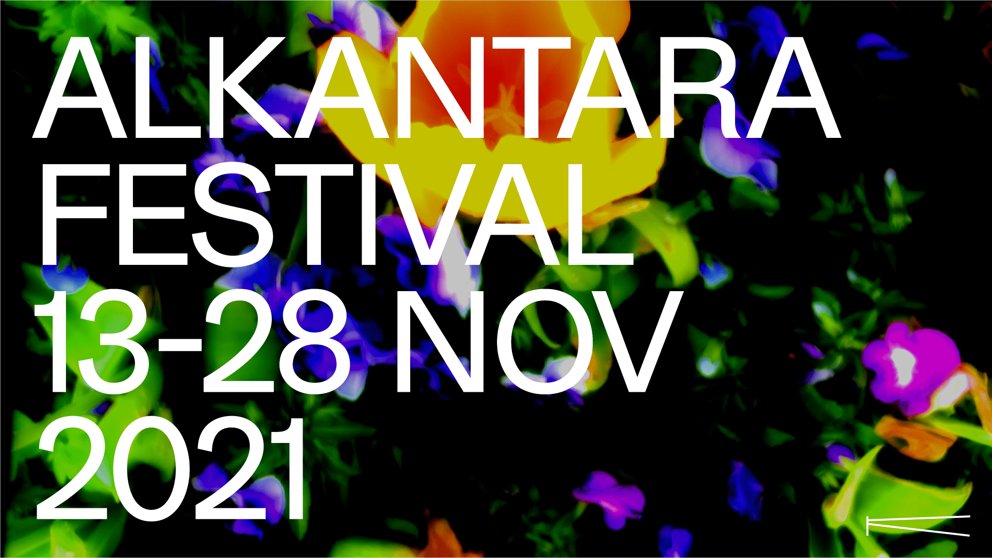 Alkantara Festival