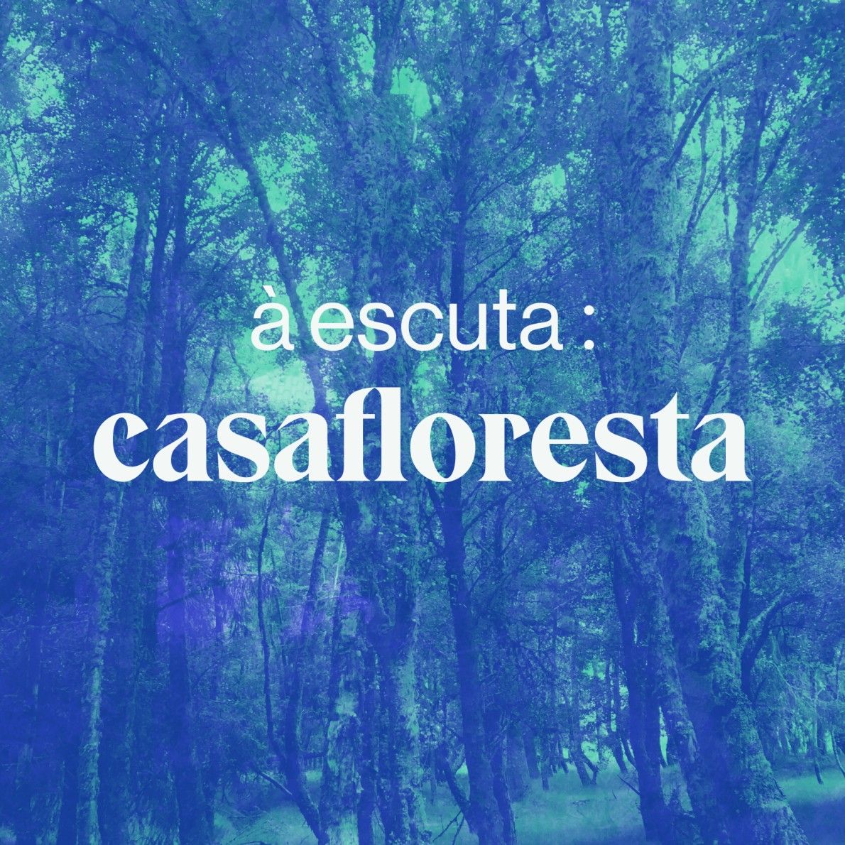 ALKANARA - Affective reforestations & Forest House - ©